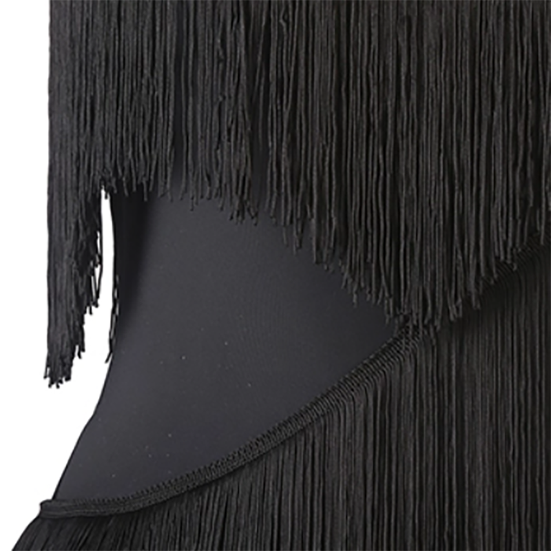 Customisable-Women's Black Tassel Sleeveless Performance Latin Dance Dress Dance Wear