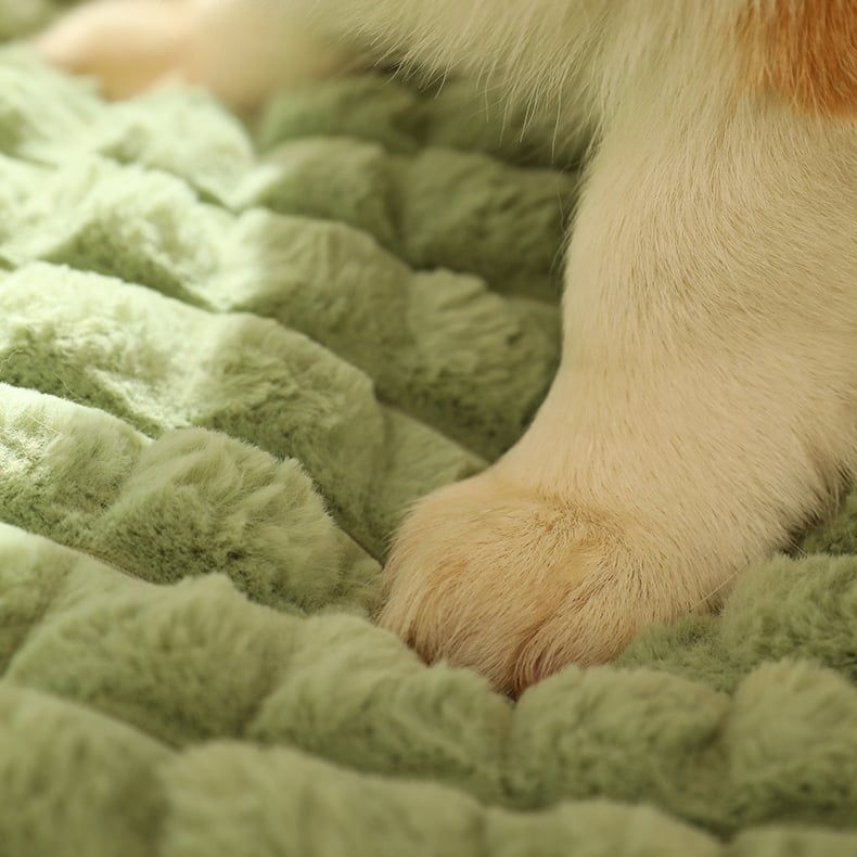 Memory Sponges Pet Bed - Removable Machine Washable