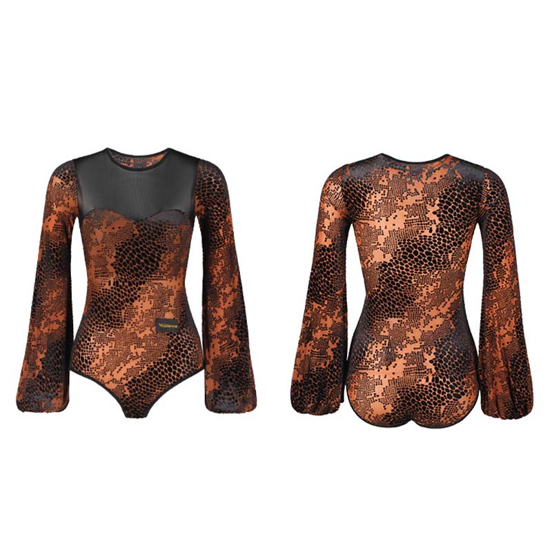 WJJ Women’s Velvet Lantern Sleeve Modern Dance Tops Training Clothes Bodysuit