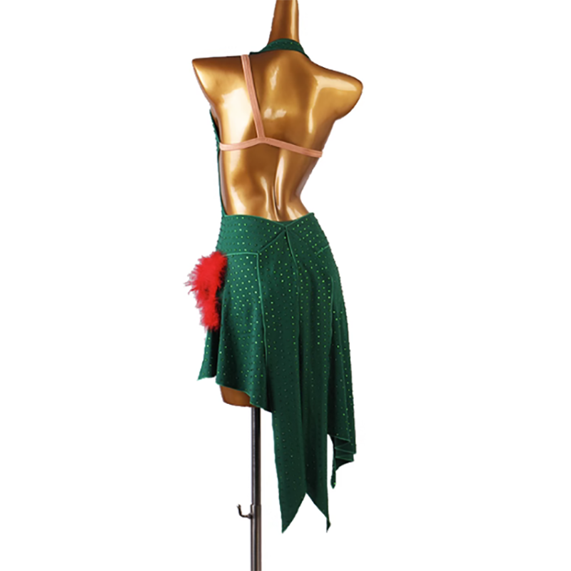 Customisable-Women's Sleeveless Rhinestone Rumba Latin Dance Dresses Performance Dresses