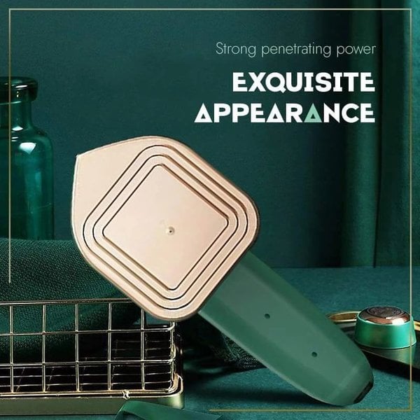 Summer Promotion 45% Off - Professional Dry & Wet Steam Iron