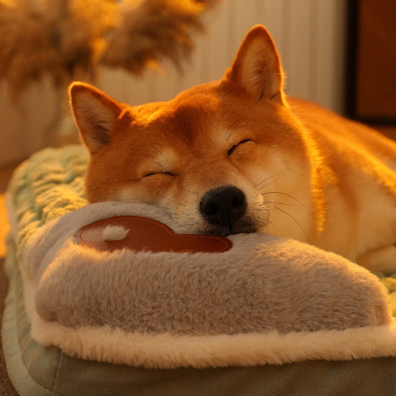 Memory Sponges Pet Bed - Removable Machine Washable