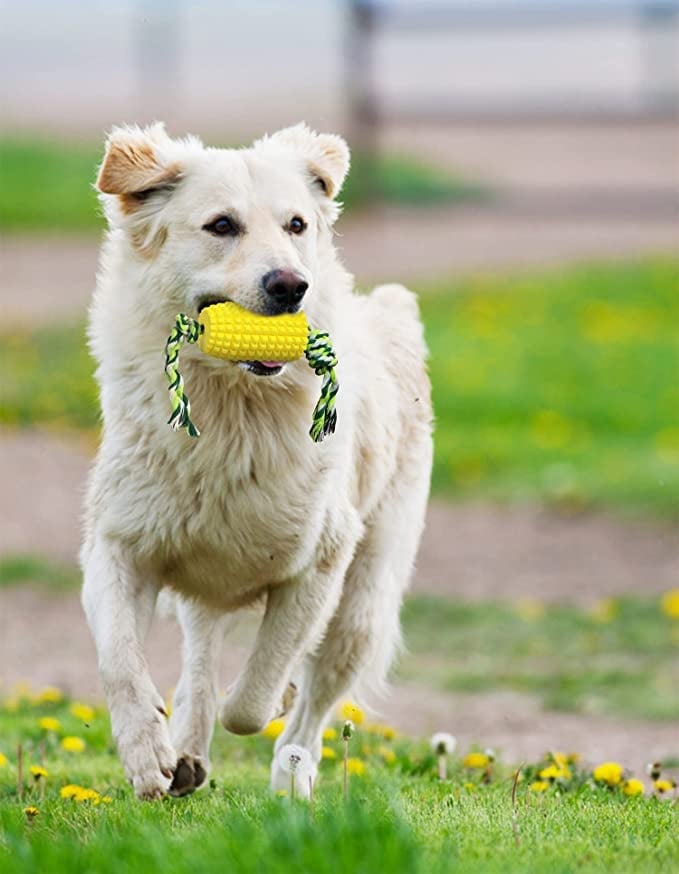 Corn Pet Teething Stick