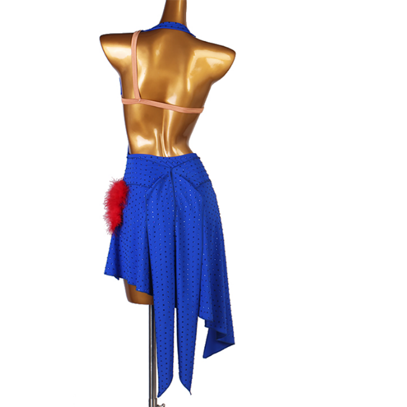 Customisable-Women's Sleeveless Rhinestone Rumba Latin Dance Dresses Performance Dresses