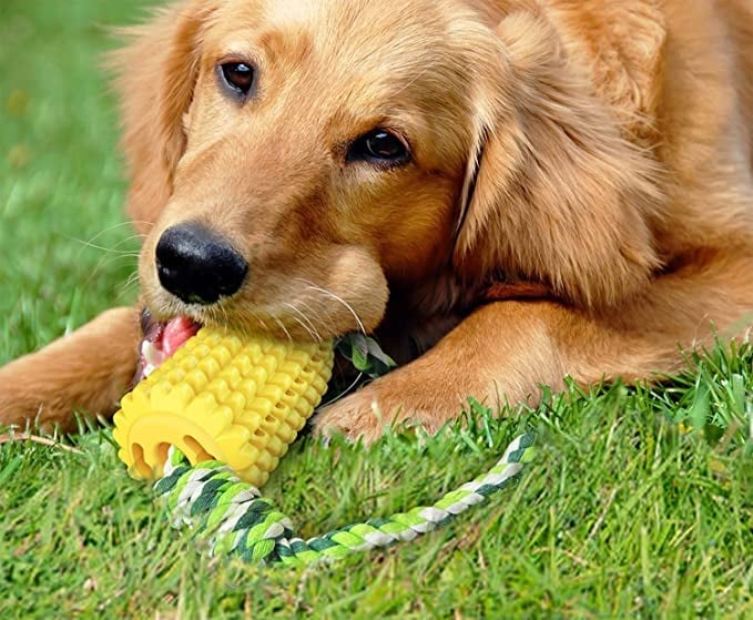 Corn Pet Teething Stick