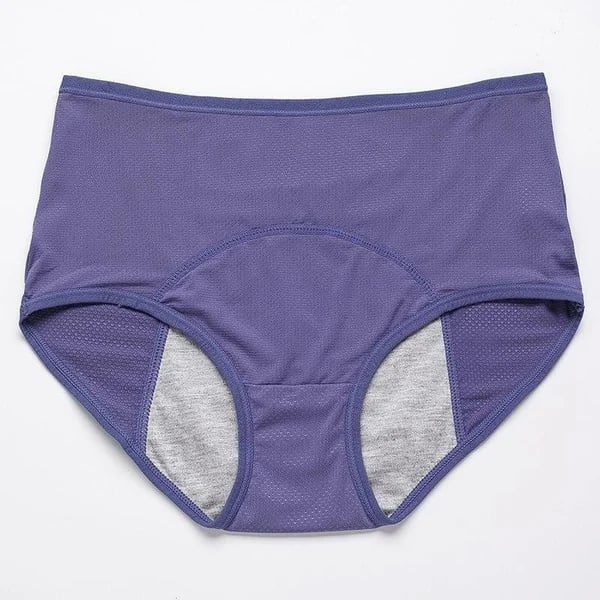 High Waist Leak Proof Panties
