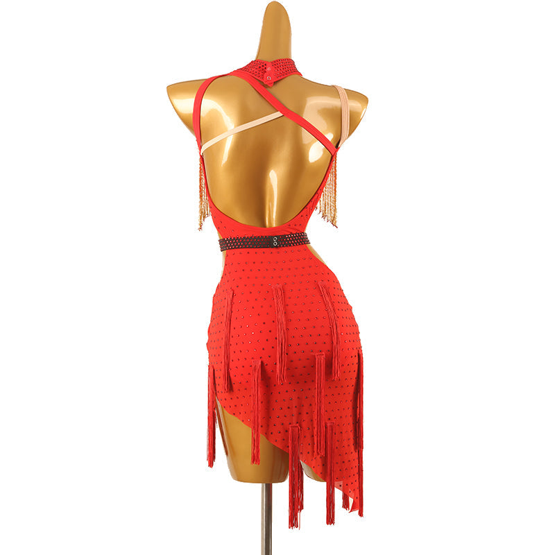 Customisable-Women's Performance Sleeveless Tassels Latin Salsa Dance Dress Competition Dress