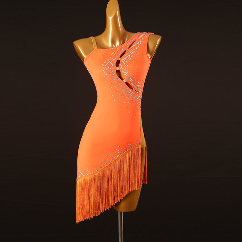 Customisable-Women's Performance Sleeveless Tassel Latin Salsa Dance Dress Competition Dress