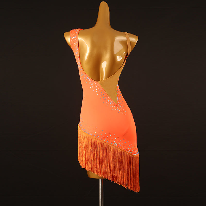Customisable-Women's Performance Sleeveless Tassel Latin Salsa Dance Dress Competition Dress