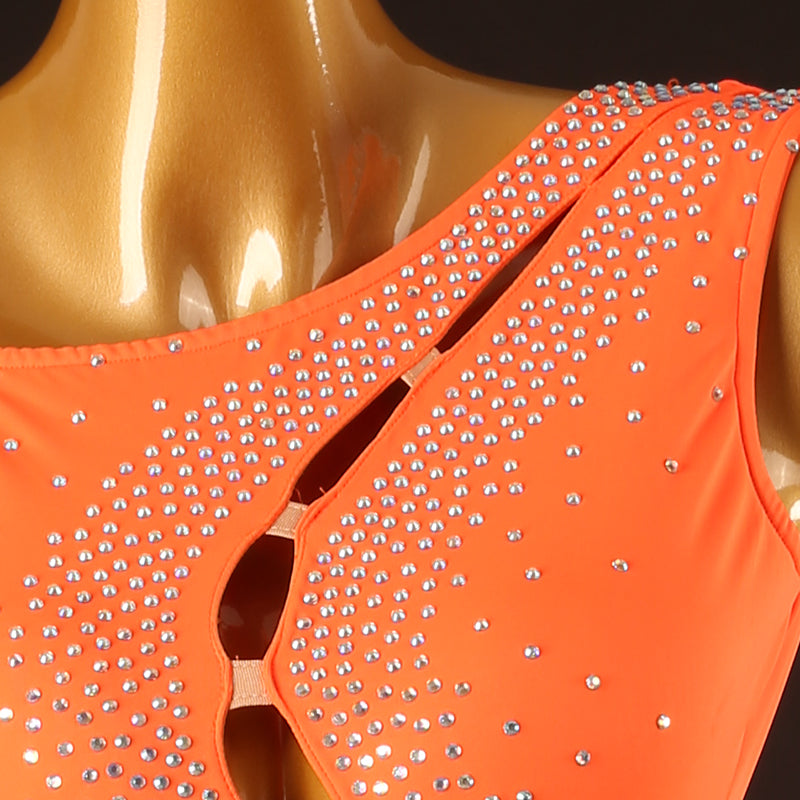 Customisable-Women's Performance Sleeveless Tassel Latin Salsa Dance Dress Competition Dress