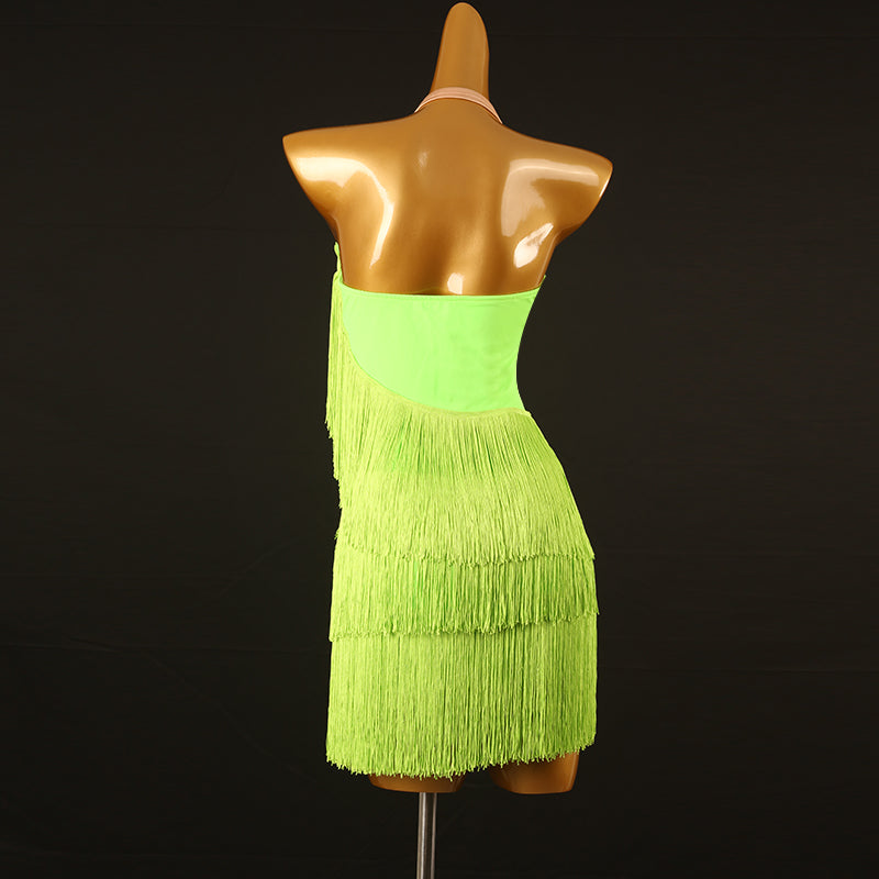 Customisable-Women's Performance Sleeveless Tassel Latin Salsa Dance Dress Competition Dress