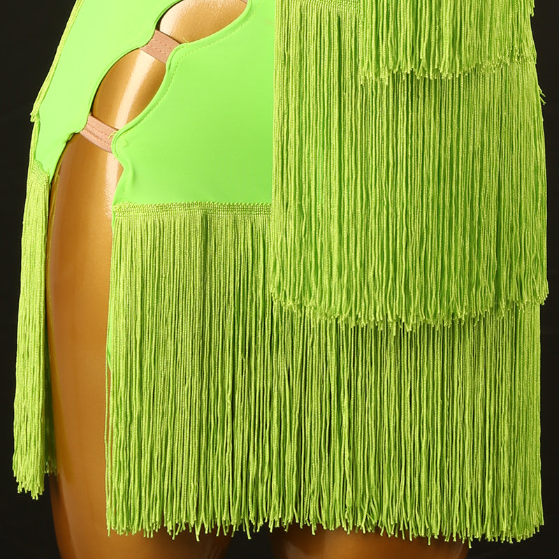 Customisable-Women's Performance Sleeveless Tassel Latin Salsa Dance Dress Competition Dress