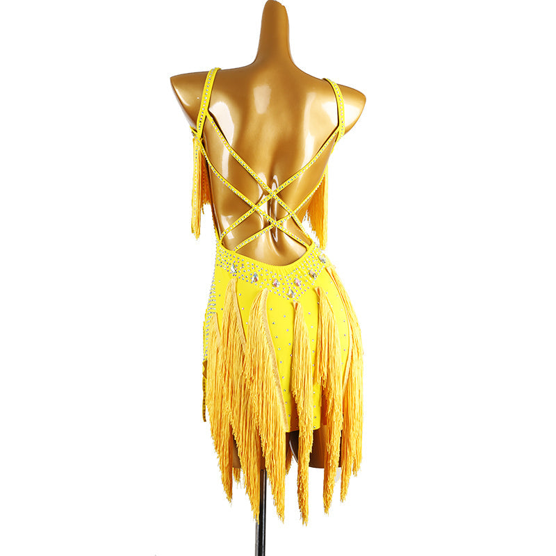 Customisable-Women's Tassel DanceWear Dance Dress Performance Wear