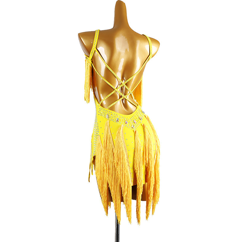 Customisable-Women's Tassel DanceWear Dance Dress Performance Wear