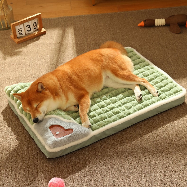 Memory Sponges Pet Bed - Removable Machine Washable