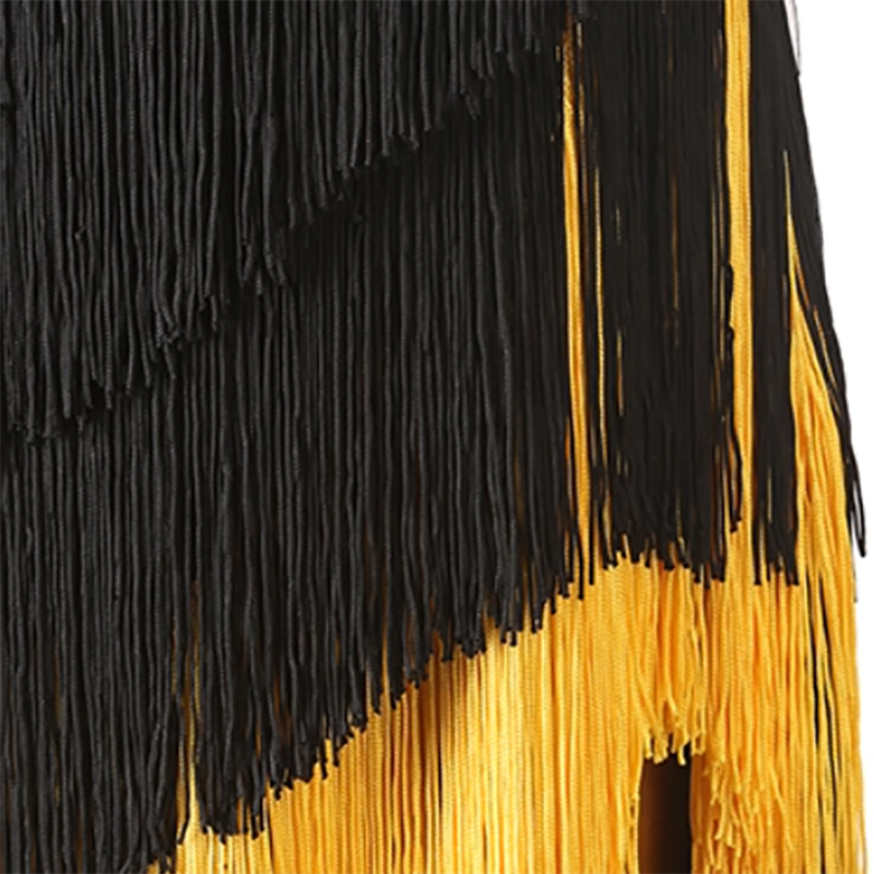 Customisable-Women's Black Tassel Sleeveless Performance Latin Dance Dress Dance Wear