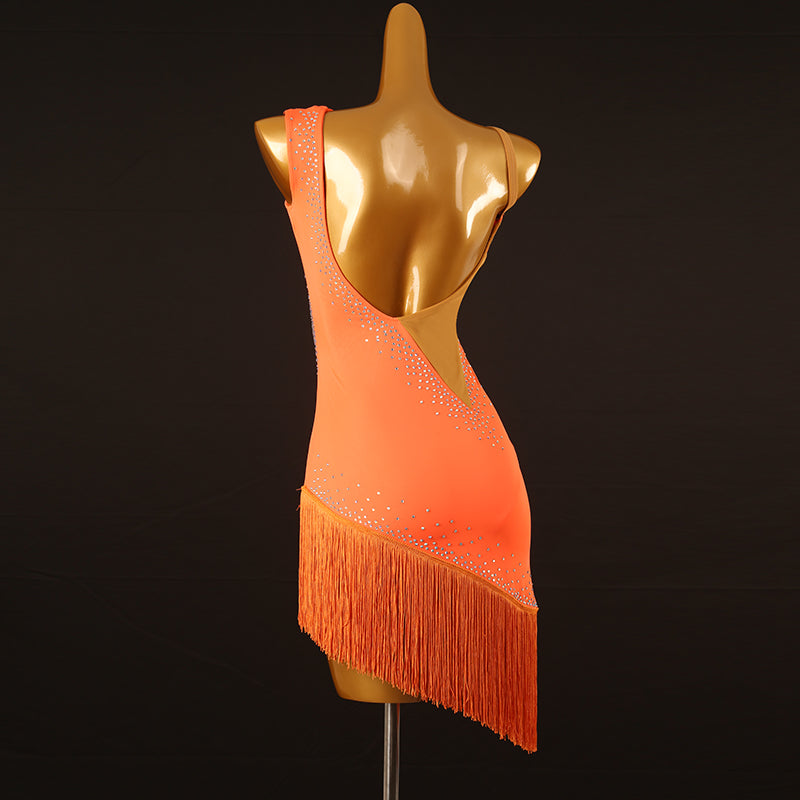 Customisable-Women's Performance Sleeveless Tassel Latin Salsa Dance Dress Competition Dress