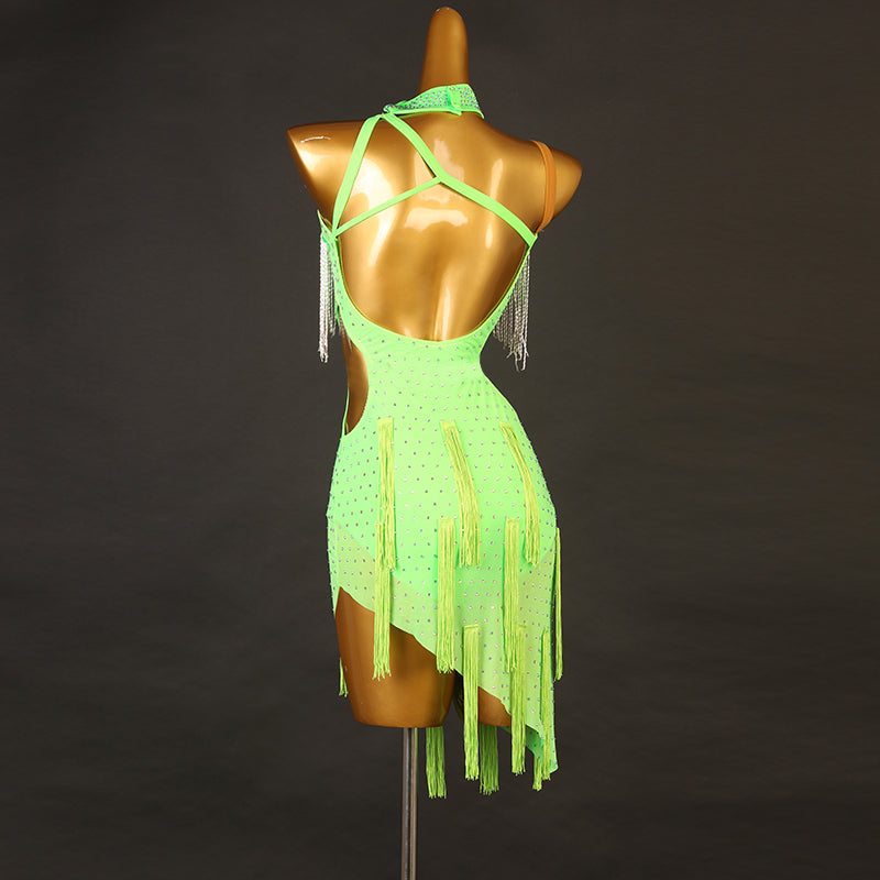 Customisable-Women's Performance Sleeveless Tassels Latin Salsa Dance Dress Competition Dress